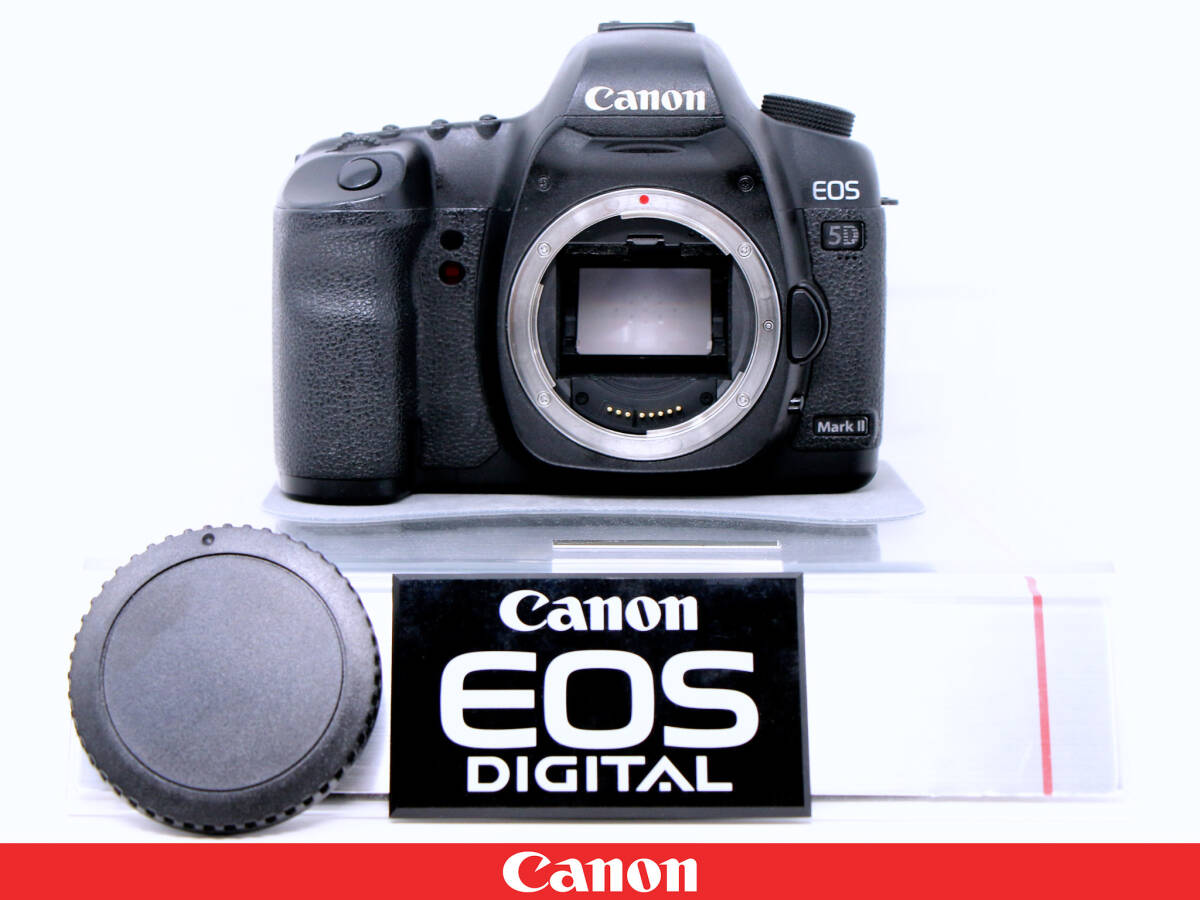 2025年最新】Yahoo!オークション -5d mark ii ジャンクの中古品 2025年最新】Yahoo!オークション -5d mark ii ジャンクの中古品