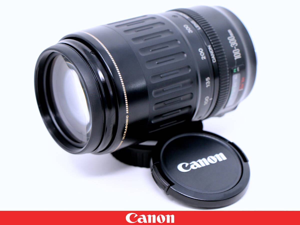 2025年最新】Yahoo!オークション -ef 100-300mm f4.5-5.6 usmの 2025年最新】Yahoo!オークション -ef 100-300mm f4.5-5.6 usmの