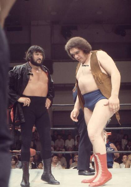プロレス 国際プロレス 1970年代 フォト 昭和プロレス アンドレザジャイアント