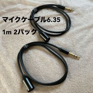 マイクケーブル 6.35mm XLR Cable XLR ケーブル ギター ラウドスピーカー スタジオ・ミキサー用 1M,2Pack 【新品】