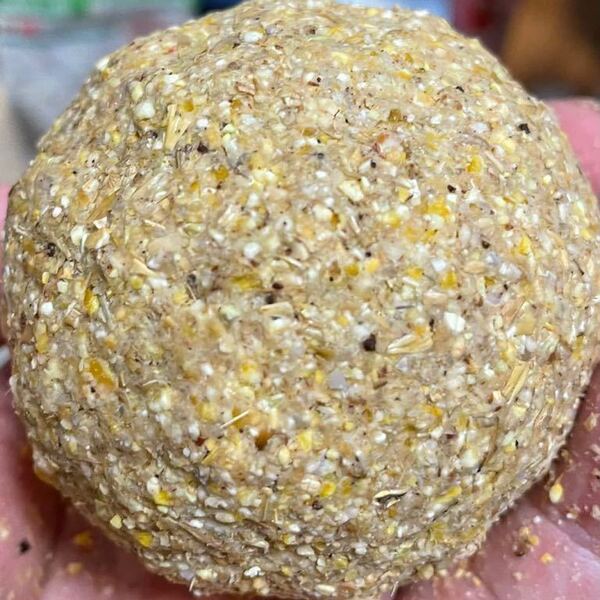 鯉釣り餌 BASIC(細挽きバージョン)コマセ8kg コーン 麦 青米 粉砕穀物 握り易い餌 単品OK 練り餌 送料無料