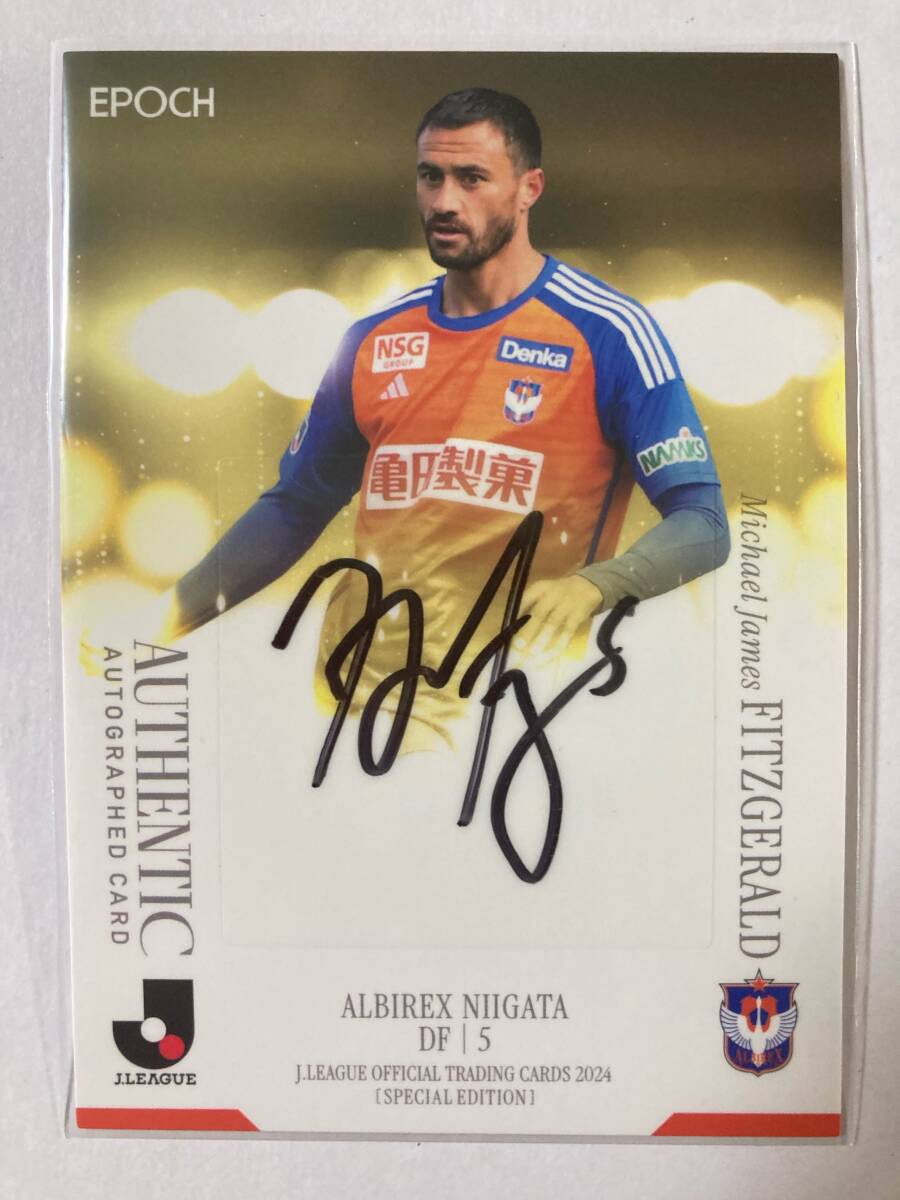 実使用? アルビレックス新潟 J-Leaque ALBIREX NIIGATA GILTON 実使用? アルビレックス新潟 J-Leaque ALBIREX NIIGATA GILTON