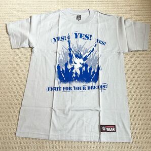 【未使用】ブライアンダニエルソン プロレス WWE 半袖Tシャツ