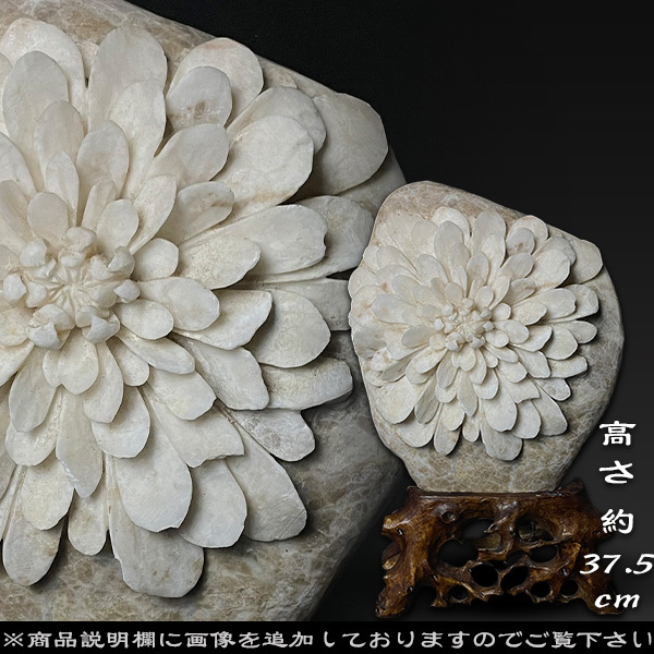2025年最新】Yahoo!オークション -菊花石*の中古品・新品・未 2025年最新】Yahoo!オークション -菊花石*の中古品・新品・未