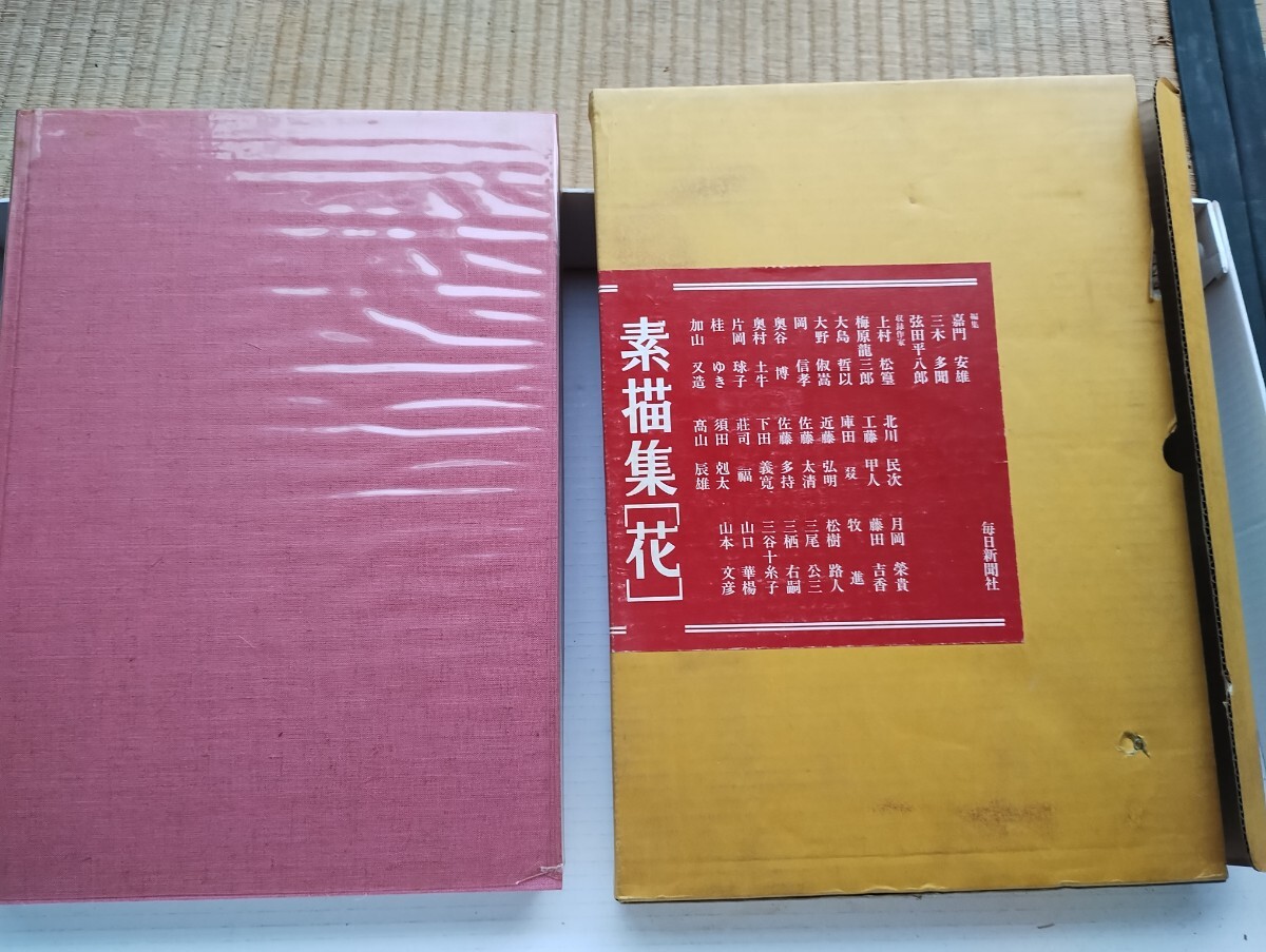 2025年最新】Yahoo!オークション -素描集 花(絵画)の中古品