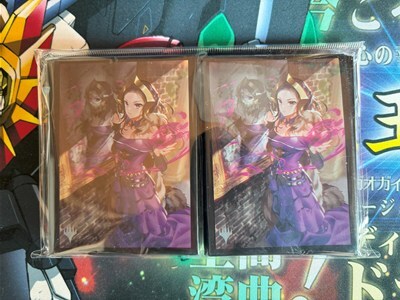 Yahoo!オークション -「リリアナ スリーブ」(ゲーム) の落札相場