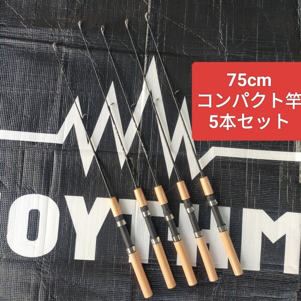 75cm 短竿 穴釣り エビ釣り コンパクトロッド 投げ竿 ハゼ釣り 5本セット 置き竿