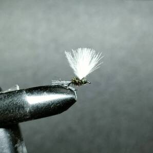 ■Rivers■CDCダン#20(黒・ピーコック各3本CDC白)計6本【種類】完成品フライ>ドライフライ>ミッジ>オイカワフライ