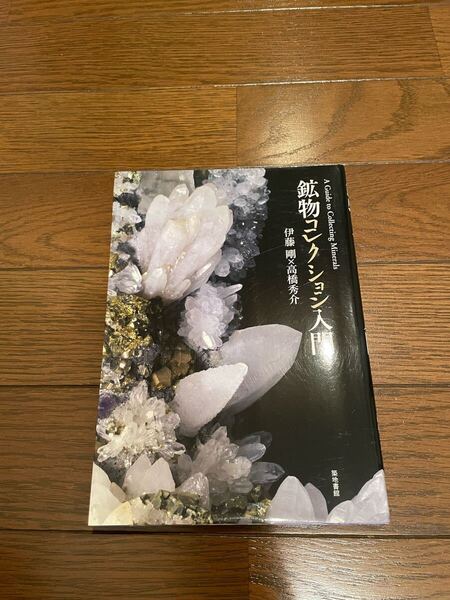 鉱物コレクション入門 伊藤剛 単行本