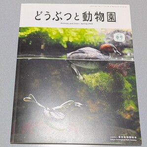 どうぶつと動物園 令和7年 春号