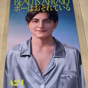 送料無料 スクラッチ未使用 ボーはおそれている 使用済みムビチケ カード 半券 前売り券 一般 全国 削りなし アリアスター