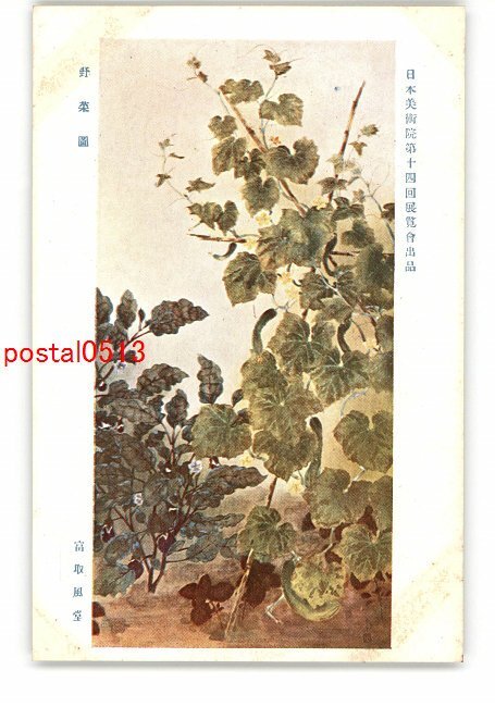 掛軸-991 富取風堂 牡丹 共箱