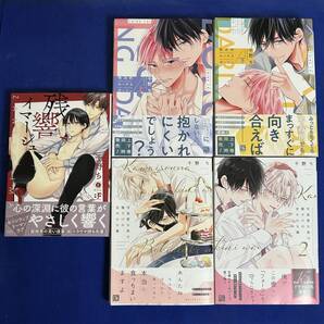 【5冊】千野ち*可哀想な君は僕だけの甘やかな傷 1-2巻+独占的ルークスダーリン 上下+残響イマージュ