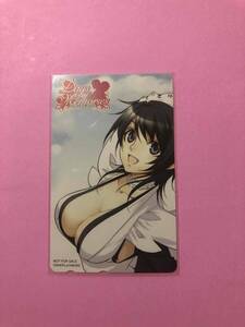 未使用 非売品 デイズオブメモリーズ テレカ テレホンカード テレフォンカード SNK DS ストリートファイター