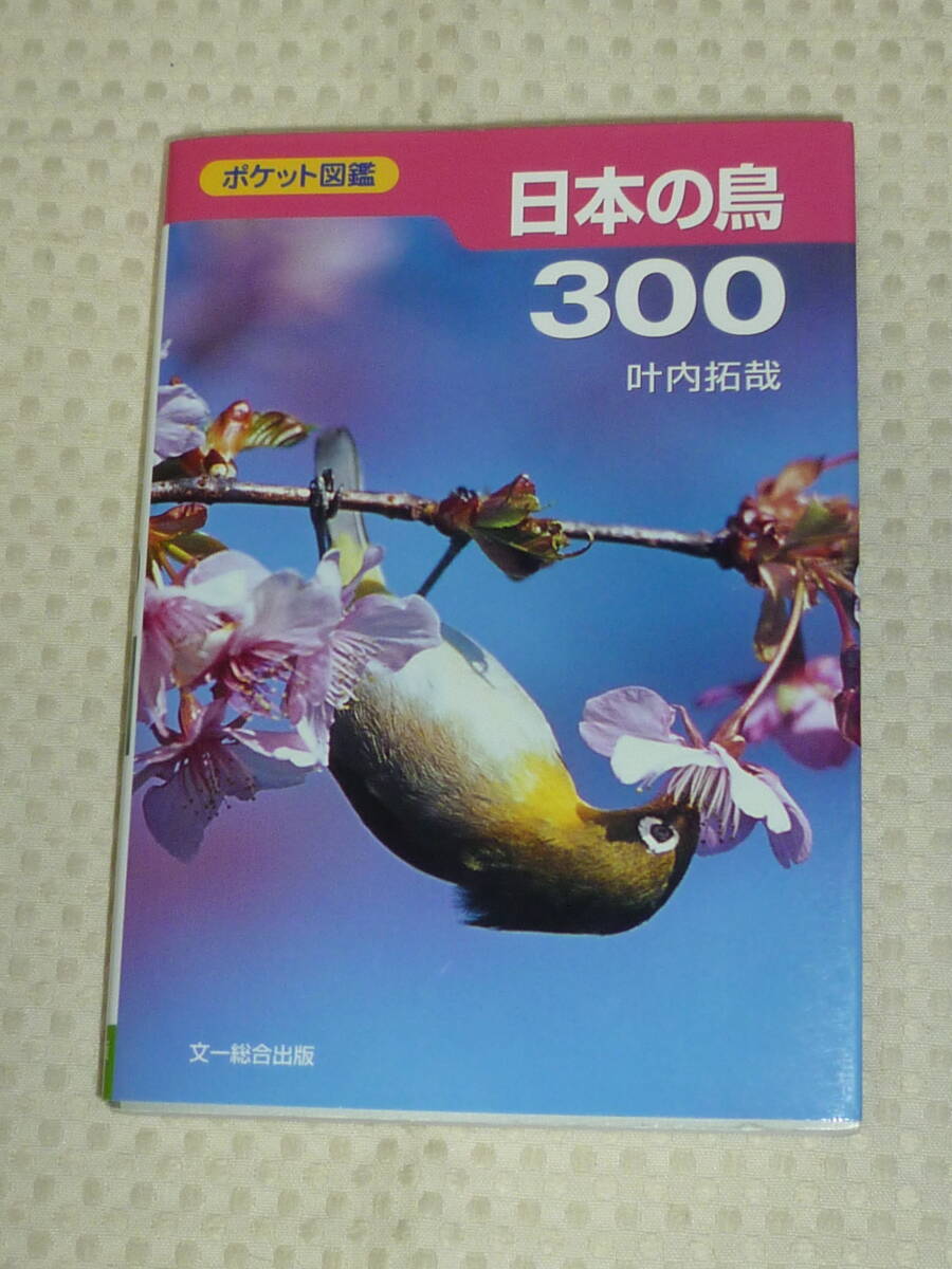 絶版】「図鑑 日本のワシタカ類」文一総合出版