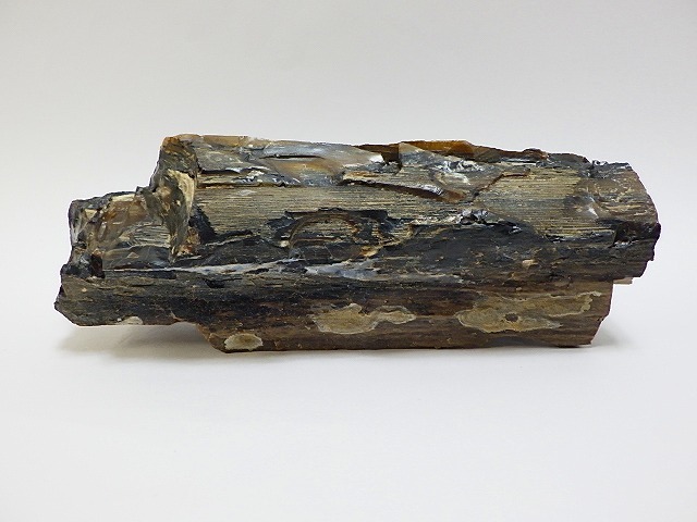 珪化木 木化石 木石 化石 鉱物 原石 天然石 鑑賞石 台付き 重量約5.6