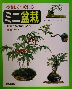 値段が激安 2025年最新】Yahoo!オークション -仕立て方(花、園芸)の中古品 盆栽