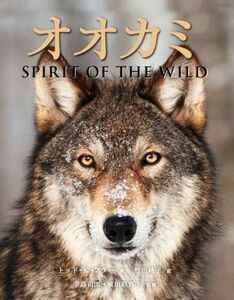 オオカミ SPIRIT OF THE WILD/トッド・K.フラー(著者),竹田純子(訳者),幸島司郎(監修),