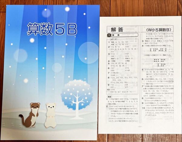 未使用 冬期講習 小5算数 解答解説付 塾専用教材 送料込