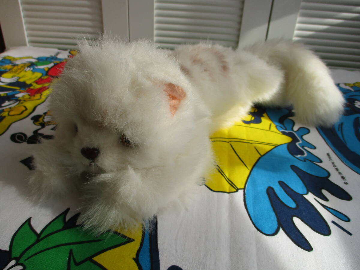 Yahoo!オークション -「オオイケ (猫 ネコ ねこ ペルシャ ボビー Yahoo!オークション -「オオイケ (猫 ネコ ねこ ペルシャ ボビー
