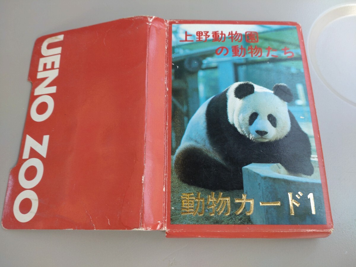 2025年最新】Yahoo!オークション -上野動物園(印刷物)の中古品 2025年最新】Yahoo!オークション -上野動物園(印刷物)の中古品