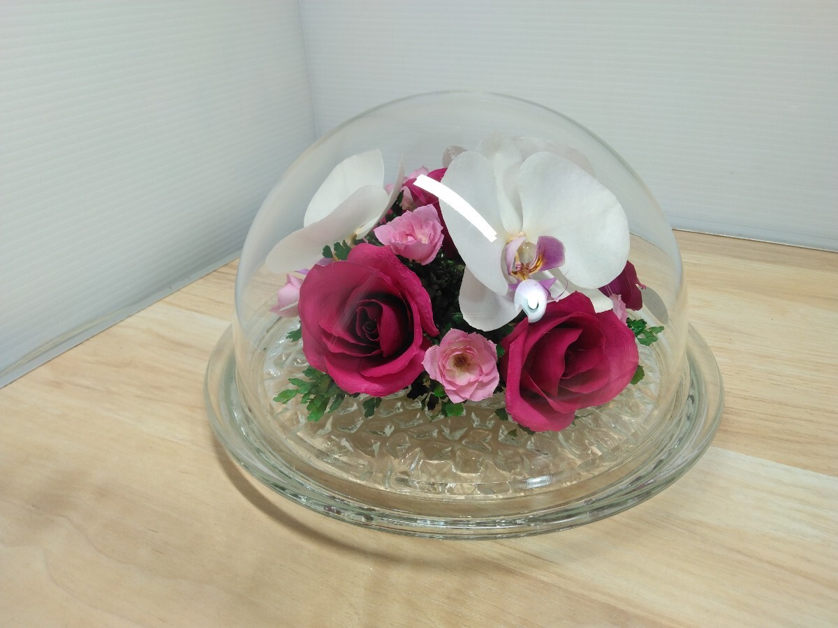 Yahoo!オークション -「reine de fleur」の落札相場・落札価格 Yahoo!オークション -「reine de fleur」の落札相場・落札価格