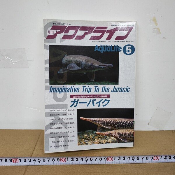 アクアライフ 1994年5月 Imaginative Trip To the Juracic ガーパイク 遥かなる時間を泳いだ中生代の依存種 カイヤン ユーラシアイシガメ