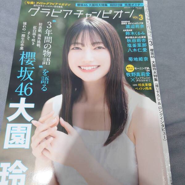 大園玲 グラビアチャンピオン 切り抜き 29ページ 両面ポスター セット
