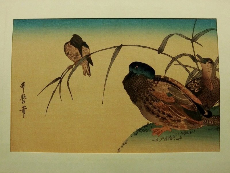 Yahoo!オークション -「花鳥風月選集」の落札相場・落札価格