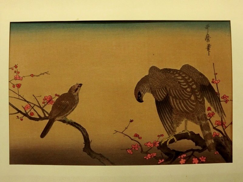 Yahoo!オークション -「花鳥風月選集」の落札相場・落札価格 Yahoo!オークション -「花鳥風月選集」の落札相場・落札価格