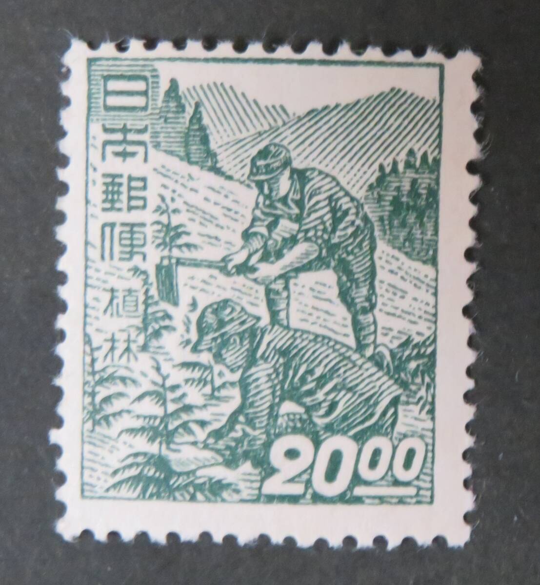 お値下げ＊琉球 沖縄切手 1951年 植林 田型 未使用  NH美品 古き良き琉球切手デザイン - 沖縄B級ポータル - DEEokinawa（で