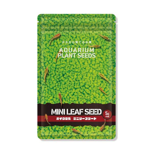 【特価商品】MINI LEAF 水草の種 SEED〈ミニリーフシード〉5g アクアリウム 水草絨毯 熱帯魚