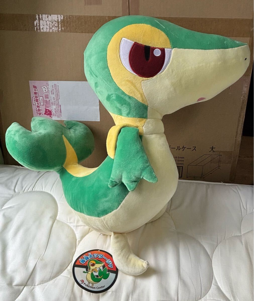 Yahoo!オークション -「ポケモン ぬいぐるみ ツタージャ」の落札 Yahoo!オークション -「ポケモン ぬいぐるみ ツタージャ」の落札