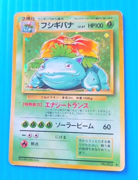 2025年最新】Yahoo!オークション -ポケモンカード 旧裏面 2025年最新】Yahoo!オークション -ポケモンカード 旧裏面