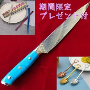 選べるプレゼント付き ペティナイフ(青ターコイズ) V金10号 67層ダマスカス
