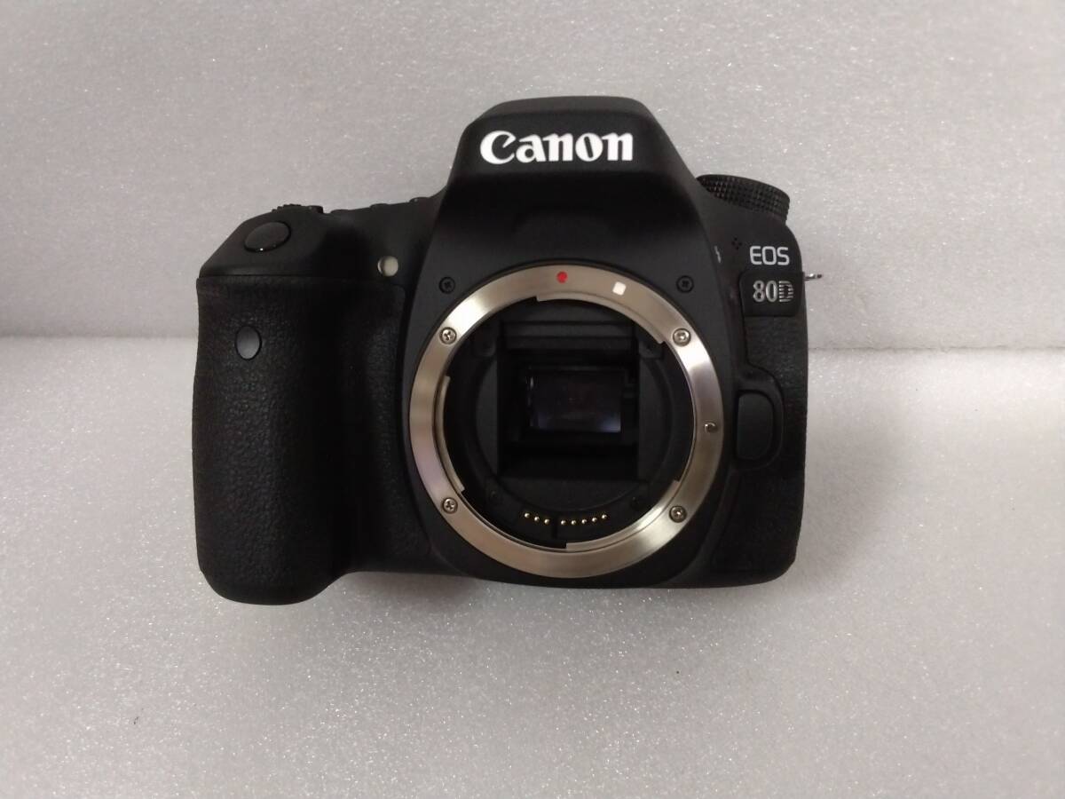 2025年最新】Yahoo!オークション -canon 80d ボディの中古品 2025年最新】Yahoo!オークション -canon 80d ボディの中古品