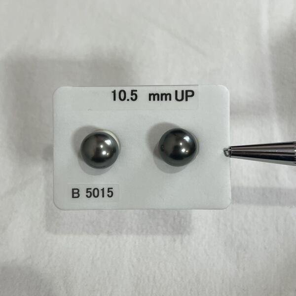 一粒 パールピアス 黒蝶真珠 10.5mm pt900(プラチナ900) 黒真珠 タヒチ 南洋真珠 スタッドピアス 新品未使用