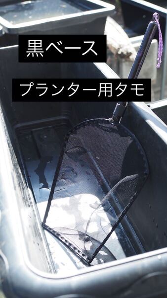 黒ベース プランター用タモ 【送料込み】 めだか ヤフセイメダカ ヤフセイタモ 紫タモ 選別網