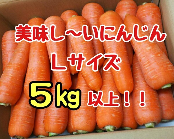美味しいにんじん!Lサイズ!5㎏以上!