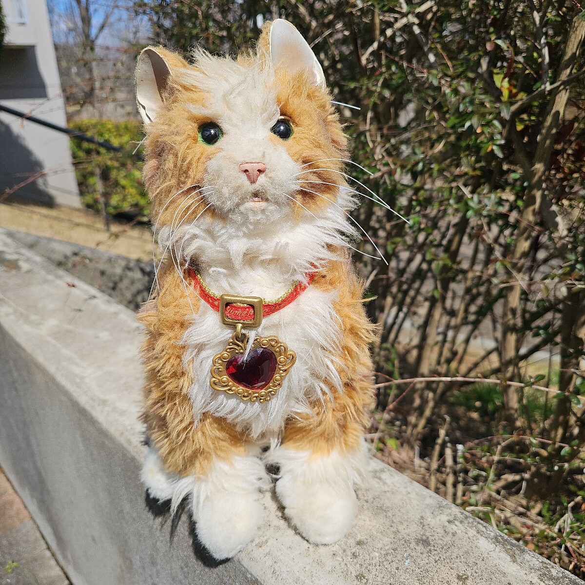 Yahoo!オークション -「夢ねこ」の落札相場・落札価格 Yahoo!オークション -「夢ねこ」の落札相場・落札価格