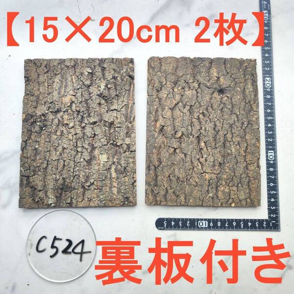 c524 【裏板付き2枚15×20cm】 コルク樹皮 コルク板 バージンコルク 送料無料 チランジア ビカクシダ 着生ラン 両生類 爬虫類