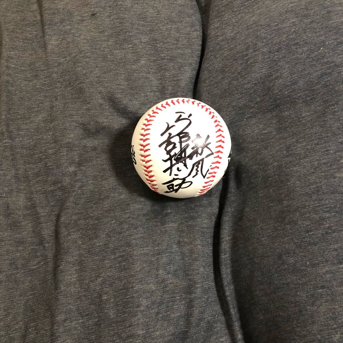 Amazon.co.jp: 読売ジャイアンツ 巨人 吉川尚輝 直筆サイン