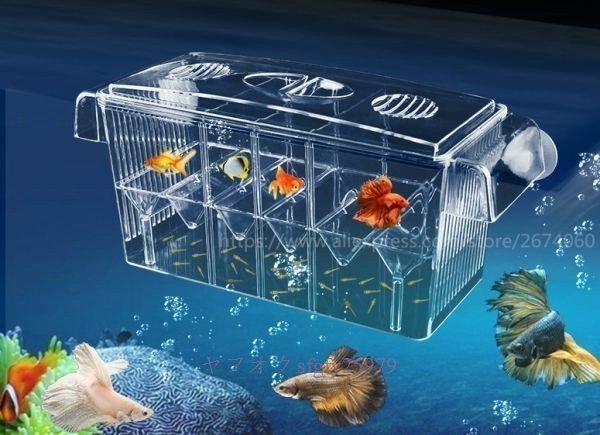 2025年最新】Yahoo!オークション -ベタ 水槽(その他)の中古品 2025年最新】Yahoo!オークション -ベタ 水槽(その他)の中古品