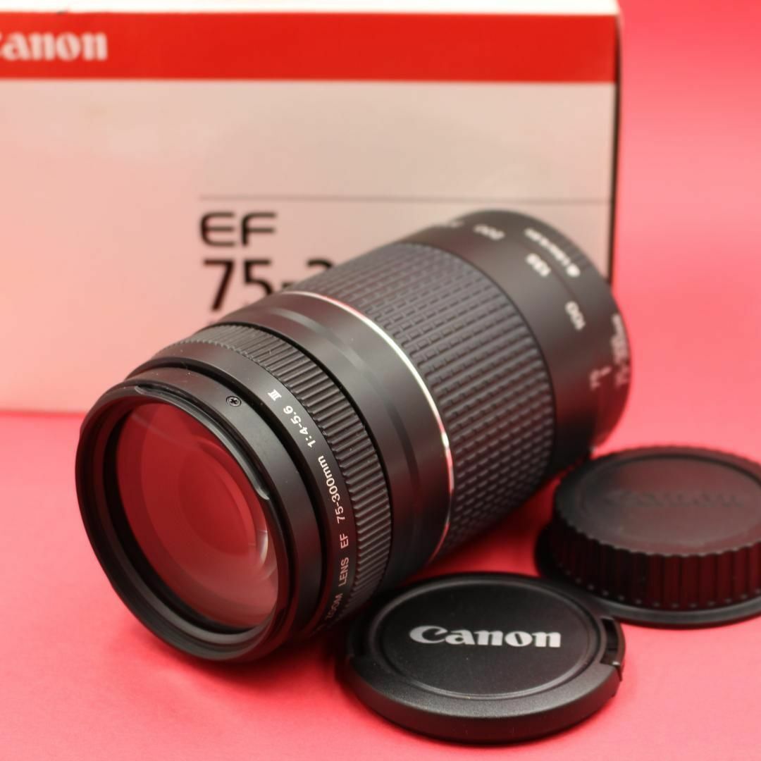 2025年最新】Yahoo!オークション -canon 300mm f4 lの中古品 2025年最新】Yahoo!オークション -canon 300mm f4 lの中古品