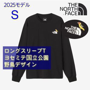 24AW ノースフェイス ロングスリーブズーピッカー 長袖Tシャツ ロングスリーブ 黒 S NT32440 NP62450 NP61800 NB32301 NBW32402