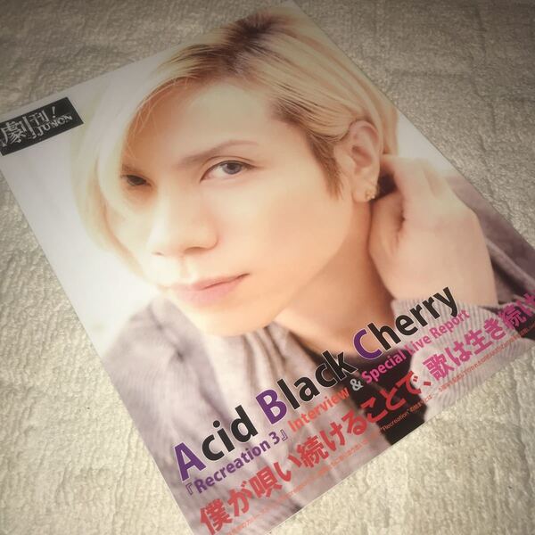 即決★送料無料 レア アシッドブラックチェリー junon 切り抜き acid black cherry 切抜き