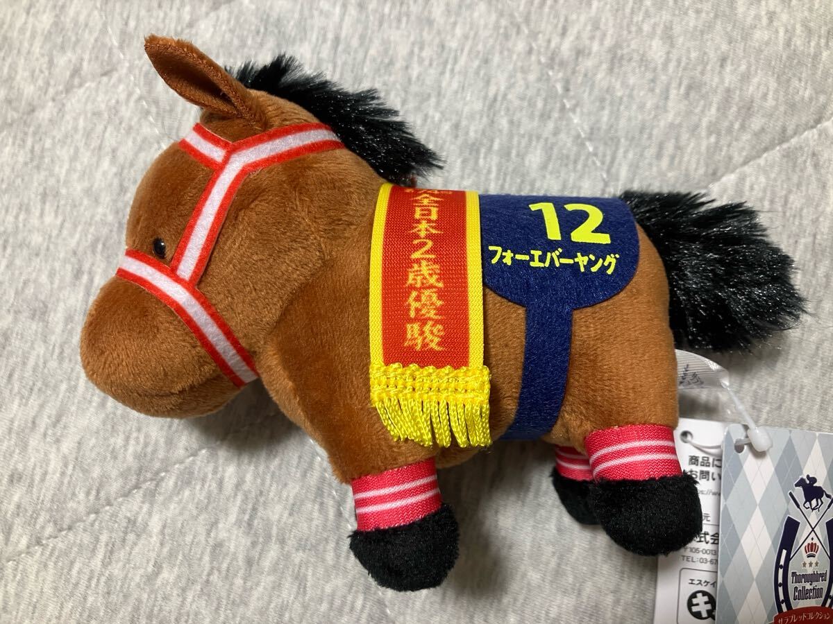 2025年最新】Yahoo!オークション -サラブレッドコレクション 2025年最新】Yahoo!オークション -サラブレッドコレクション