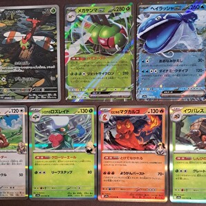 送料無料 ポケモンカード ヤンヤンマ /メガヤンマex /ペパーのヨクバリス /シロナのロズレイド /ヒビキのマグカルゴ /イワパレス
