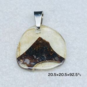 パラサイト隕石 20.5㍉ ペンダント 隕石 石鉄隕石 セリコ隕石 パラサイト
