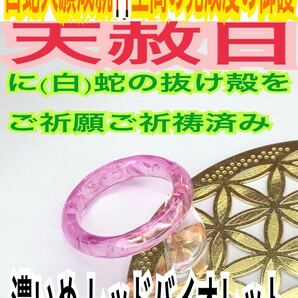1個≪対応サイズ:3号~27号≫指輪お守り【天赦日ご祈祷】メモリーオイル 御神環 白蛇の抜け殻 財布 24